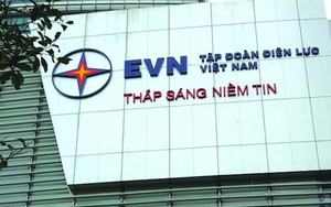 Kiểm toán Tập đoàn Điện lực Việt Nam EVN