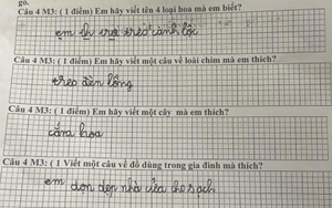 "Đến Thượng Đế cũng phải cười" với học sinh tiểu học!