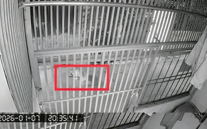 Khi hàng xóm thành... đối thủ