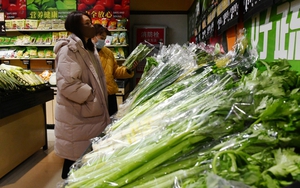 Dự báo mới về tăng trưởng kinh tế toàn cầu