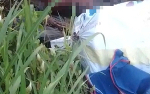 TPHCM: Tìm người thân của thi thể được phát hiện gần trạm thu phí cầu Phú Mỹ