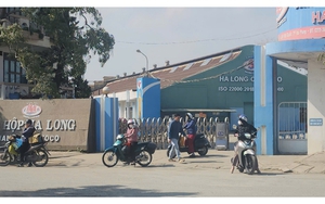 VIDEO: Tạm dừng sản xuất, hàng trăm công nhân vẫn đến Công ty CP đồ hộp Hạ Long