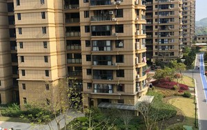 Mua nhà năm 2026: 4 kiểu nhà xem thì mê, nhưng "càng ở càng khóc"