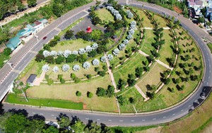 Đề nghị truy tố Chủ tịch HĐQT Công ty cây xanh Công Minh