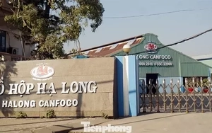 Lật giở quá trình phát hiện Công ty Đồ hộp Hạ Long làm patê bằng thịt lợn bệnh