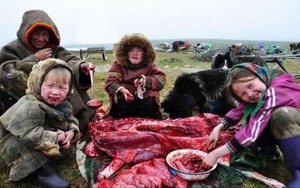 Vì sao người Eskimo vẫn ăn thịt sống giữa Bắc Cực khắc nghiệt suốt hàng nghìn năm?