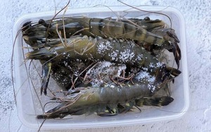 Tôm mua về ĐỪNG vội cho vào tủ lạnh: Thêm đúng 1 thứ này, tôm để lâu vẫn tươi như mới