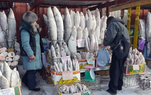 Không phải dầu thô hay khí đốt, một mặt hàng của Nga được người châu Âu cực mê: Chi hơn 700 triệu euro mua hàng, giá cao nhất trong nhiều năm