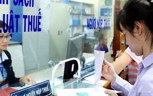 Người phụ thuộc có nhiều mã số thuế phải xử lý thế nào? Cơ quan Thuế hướng dẫn