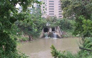 Hơn 30 thi thể vớt từ sông rạch Houston, gây lo ngại về kẻ giết người hàng loạt