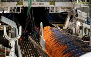 Nga đón tin vui chưa từng có ngay tại láng giềng Việt Nam