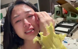 Vợ mua máy rửa bát hơn 5.000.000 đồng không xin phép, chồng nổi cơn thịnh nộ đập phá nhà cửa tan hoang