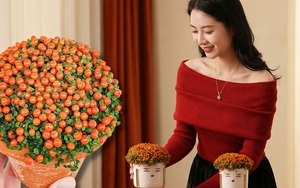 "Bảo bối" phong thủy mới cho Tết Bính Ngọ 2026: Tên nghe sang chảnh, bé xíu xiu mà hút lộc cả năm