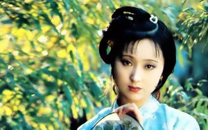 Nhân vật có EQ thấp nhất Hồng Lâu Mộng