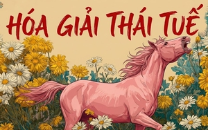 Phạm Thái Tuế 2026: Xin đừng vội cúng lễ linh đình!