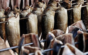 Một 'mỏ vàng' của Việt Nam hốt bạc từ Tây sang Đông: thu về hơn 2 tỷ USD, cả thế giới nuôi nhưng chỉ nước ta tạo ra ngành công nghiệp