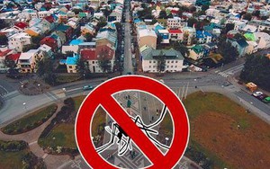 Một quốc gia không có bất kỳ con muỗi nào