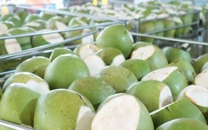 Không phải sầu riêng, một báu vật triệu đô của Việt Nam khiến Trung Quốc, Mỹ cực mê: Xuất khẩu hơn 1 tỷ USD, diện tích trồng gần 200.000 ha