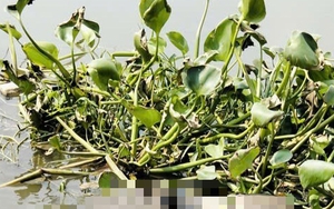 Liên tục phát hiện thi thể trôi sông ở TPHCM