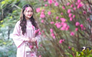 Chi tiết lịch nghỉ Tết Nguyên đán Bính Ngọ và các kỳ nghỉ dài trong năm 2026