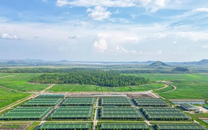 Hệ sinh thái nông nghiệp tuần hoàn "độc đáo"