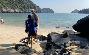 Bãi biển miền Bắc du khách đi mùa đông mà phải thốt lên: "Cứ ngỡ đang ở trời Âu!"