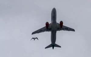 Động cơ của Superjet 100 đã được thử nghiệm va chạm đàn chim