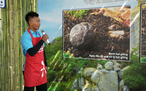 Cùng OMO mang 'lộc xanh' đến Vườn quốc gia Núi Chúa - Phước Bình