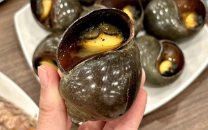 Ăn ốc bươu ngâm 'thủy tinh lỏng' độc hại thế nào?