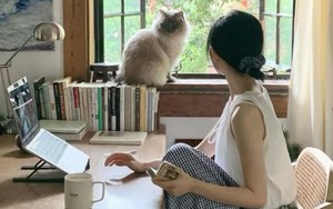 Vừa mua căn hộ tầng 26, tôi hối hận và bán gấp để xuống tầng 5: Bài học đắt giá không có trong quảng cáo