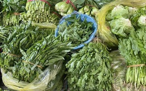 Loại rau tốt nhất thế giới, được chấm 100/100 điểm, chợ Việt bán từ 25.000 đồng/kg