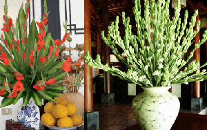 5 loại hoa NÊN trưng bàn thờ Tết: Giữ cát khí, tụ phúc lành, đón lộc đầu năm