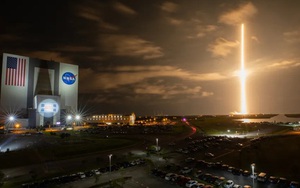 26 sinh vật lạ xuất hiện trong trung tâm vũ trụ của NASA