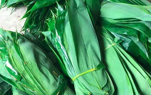 Những loại lá "độc lạ" ở Việt Nam xuất khẩu thu về triệu USD