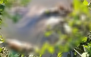 Nữ sinh Cà Mau bị sát hại: Cha mẹ đi làm xa, sống cùng ông ngoại