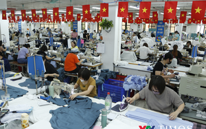 Kinh tế Việt Nam 2025: Áp lực tạo kim cương, bản lĩnh tạo tăng trưởng