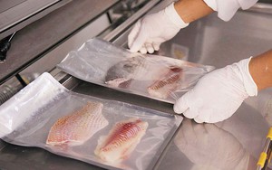 "Kho báu" được mệnh danh là "gà dưới nước" của Việt Nam khiến Mỹ săn lùng: Xuất khẩu tăng 499%