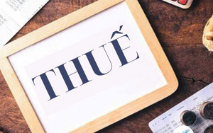 Sau 1/7, cơ quan Hải quan sẽ ấn định số thuế phải nộp với 7 trường hợp sau liên quan đến hàng hóa xuất nhập khẩu