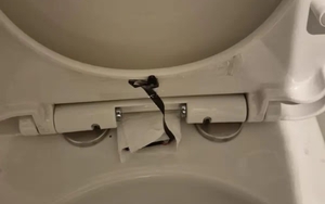 Hoảng loạn khi phát hiện camera quay lén ở bồn cầu chuỗi nhà hàng nổi tiếng