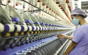 "Mỏ vàng" nào đưa Việt Nam chạm mốc gần 40 tỷ USD, khiến Mỹ chi hơn 17 tỷ USD mỗi năm?