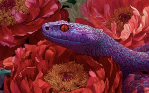 Tử vi ngày mới 5/1: 2 con giáp tài lộc rộn ràng, riêng tuổi Dần tình duyên rực rỡ