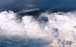 "Không ai biết vì sao điều này lại xảy ra": Các nhà khoa học toàn cầu chạy đua để giải mã 1 hiện tượng lạ