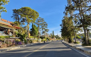 Cảnh tượng khó tin tại Đà Lạt trong dịp Tết dương lịch