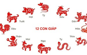 1 con giáp sắp chia tay với vận xui, 2 con giáp chuẩn bị bước vào thời kỳ hoàng kim, tài lộc rực rỡ