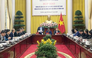 Công bố Lệnh của Chủ tịch nước về các luật thuế, nhiều quy định liên quan hộ kinh doanh