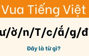 Chỉ 1% người giỏi ngôn ngữ mới tìm được lời giải