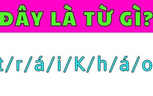 Thông minh đến mấy cũng phải chào thua câu đố vua Tiếng Việt này