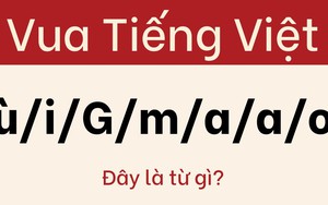 Câu đố khiến 'bậc thầy ngôn ngữ' cũng phải bối rối