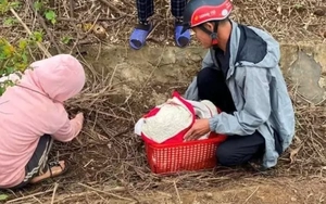 Bé gái sơ sinh bị bỏ rơi dưới rãnh mương trong thời tiết giá rét
