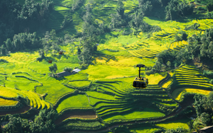 Nơi duy nhất ở Việt Nam được tạp chí Mỹ chọn là điểm đến dành cho người tuổi Sửu năm 2026: Sở hữu “vẻ đẹp vô tận”, toàn điểm check in triệu view